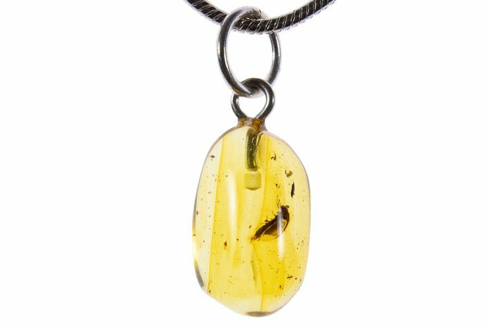 Polished Baltic Amber Pendant (Necklace) - Contains Beetle! #339585